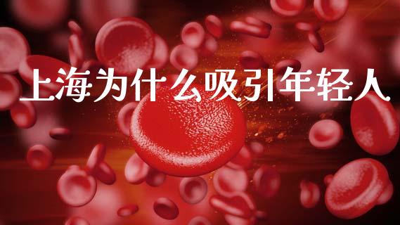 上海为什么吸引年轻人_https://cj007.lansai.wang_全球市场_第1张