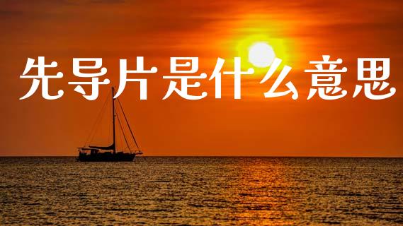 先导片是什么意思_https://cj007.lansai.wang_外汇交易_第1张