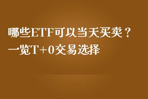 哪些ETF可以当天买卖？一览T+0交易选择_https://cj007.lansai.wang_金融监管_第1张