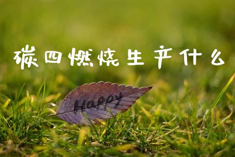 碳四燃烧生产什么_https://cj007.lansai.wang_债券资讯_第1张