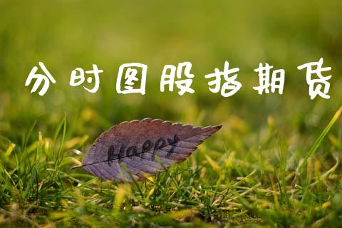 分时图股指期货_https://cj007.lansai.wang_外汇交易_第1张
