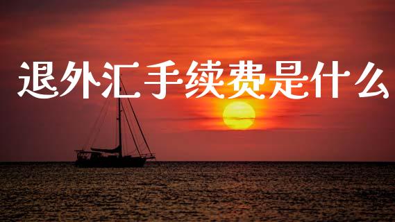 退外汇手续费是什么_https://cj007.lansai.wang_财经新闻_第1张