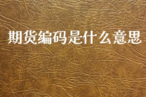 期货编码是什么意思_https://cj007.lansai.wang_财经新闻_第1张