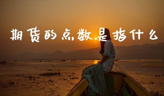 期货的点数是指什么_https://cj007.lansai.wang_外汇交易_第1张