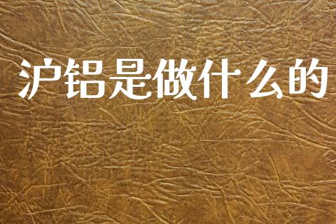 沪铝是做什么的_https://cj007.lansai.wang_外汇交易_第1张