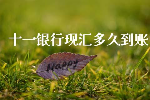 十一银行现汇多久到账_https://cj007.lansai.wang_外汇交易_第1张