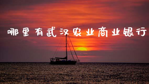 哪里有武汉农业商业银行_https://cj007.lansai.wang_全球市场_第1张