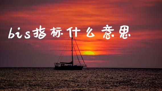 bis指标什么意思_https://cj007.lansai.wang_外汇交易_第1张