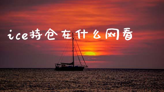 ice持仓在什么网看_https://cj007.lansai.wang_财经新闻_第1张