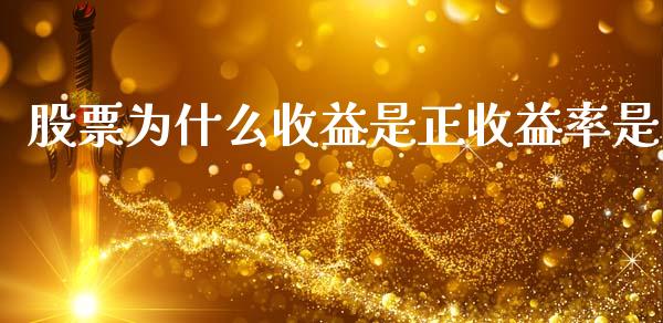 股票为什么收益是正收益率是_https://cj007.lansai.wang_外汇交易_第1张