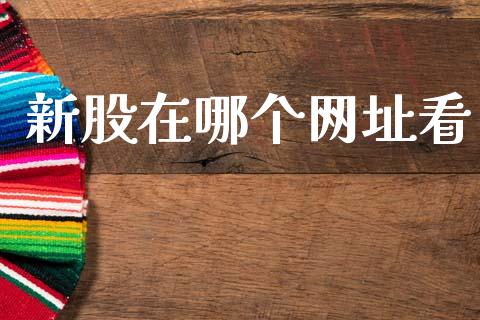 新股在哪个网址看_https://cj007.lansai.wang_财经新闻_第1张