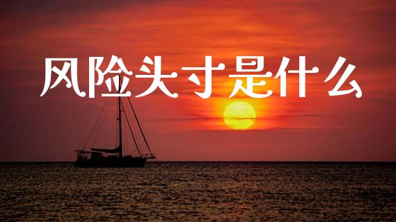 风险头寸是什么_https://cj007.lansai.wang_债券资讯_第1张