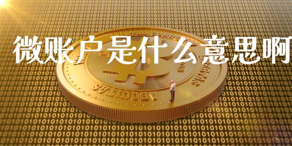 微账户是什么意思啊_https://cj007.lansai.wang_全球市场_第1张
