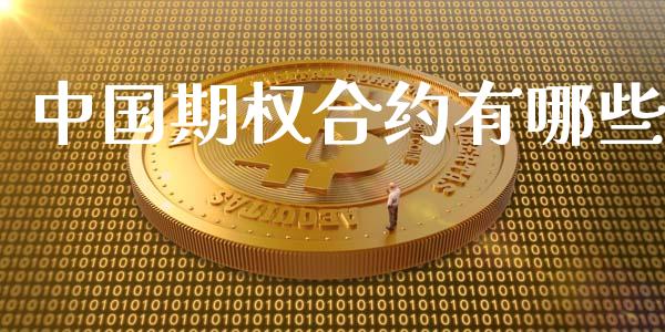 中国期权合约有哪些_https://cj007.lansai.wang_全球市场_第1张