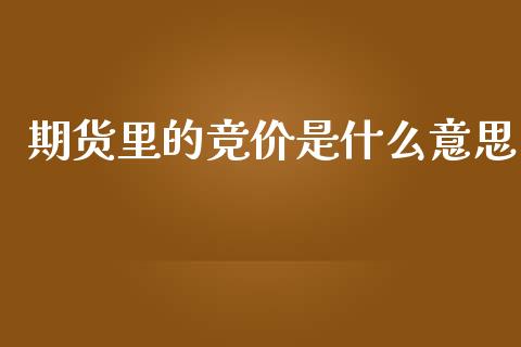 期货里的竞价是什么意思_https://cj007.lansai.wang_金融监管_第1张
