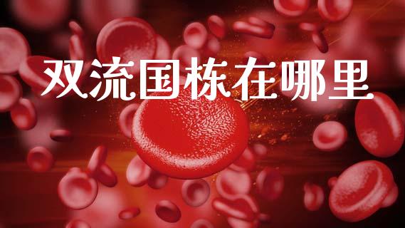 双流国栋在哪里_https://cj007.lansai.wang_财经新闻_第1张
