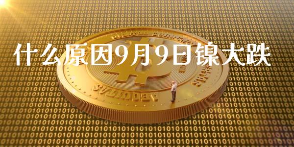 什么原因9月9日镍大跌_https://cj007.lansai.wang_期货开户_第1张