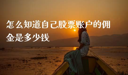 怎么知道自己股票账户的佣金是多少钱_https://cj007.lansai.wang_全球市场_第1张