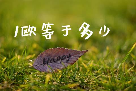 1欧等于多少_https://cj007.lansai.wang_期货开户_第1张