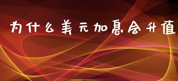 为什么美元加息会升值_https://cj007.lansai.wang_外汇交易_第1张