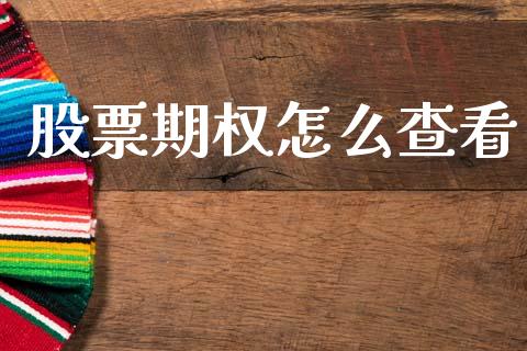 股票期权怎么查看_https://cj007.lansai.wang_外汇交易_第1张