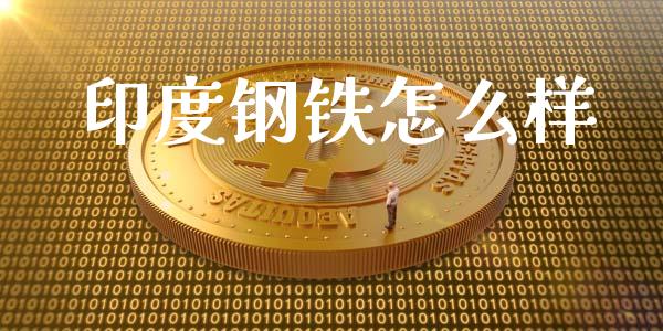 印度钢铁怎么样_https://cj007.lansai.wang_期货开户_第1张