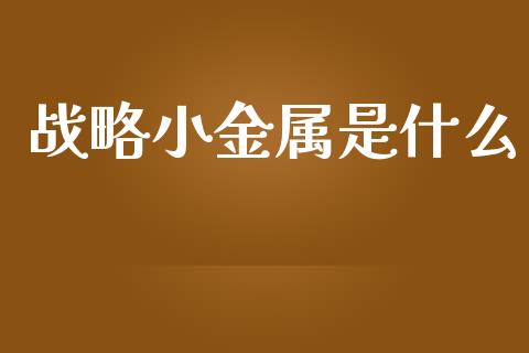 战略小金属是什么_https://cj007.lansai.wang_金融监管_第1张