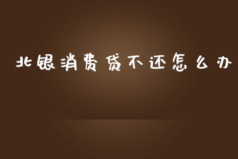 北银消费贷不还怎么办_https://cj007.lansai.wang_全球市场_第1张