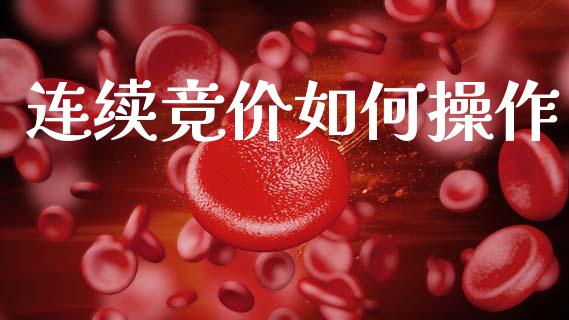 连续竞价如何操作_https://cj007.lansai.wang_财经新闻_第1张