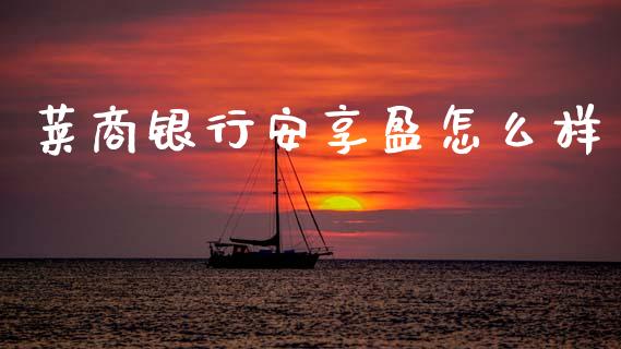 莱商银行安享盈怎么样_https://cj007.lansai.wang_财经新闻_第1张