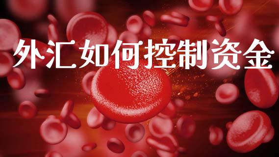外汇如何控制资金_https://cj007.lansai.wang_全球市场_第1张