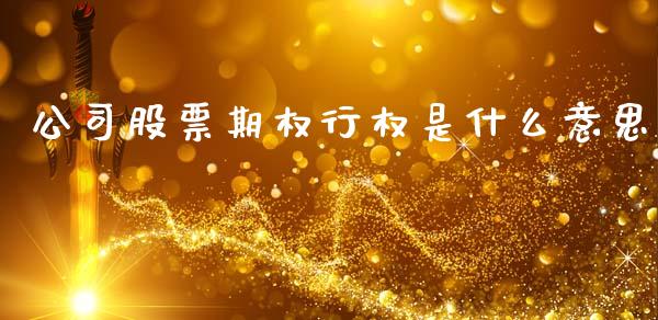 公司股票期权行权是什么意思_https://cj007.lansai.wang_全球市场_第1张