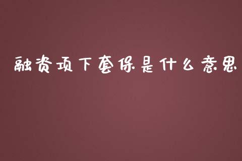 融资项下套保是什么意思_https://cj007.lansai.wang_全球市场_第1张