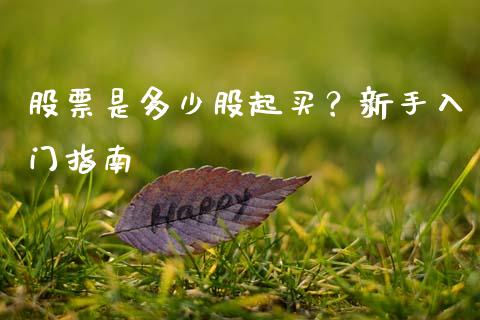 股票是多少股起买？新手入门指南_https://cj007.lansai.wang_全球市场_第1张