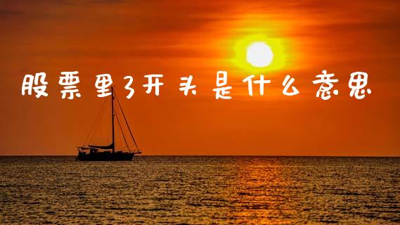 股票里3开头是什么意思_https://cj007.lansai.wang_债券资讯_第1张