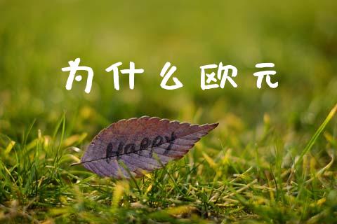 为什么欧元_https://cj007.lansai.wang_金融监管_第1张