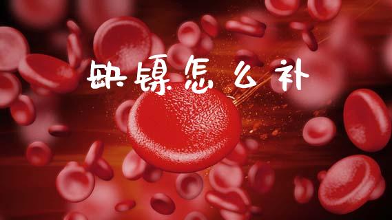 缺镍怎么补_https://cj007.lansai.wang_财经新闻_第1张