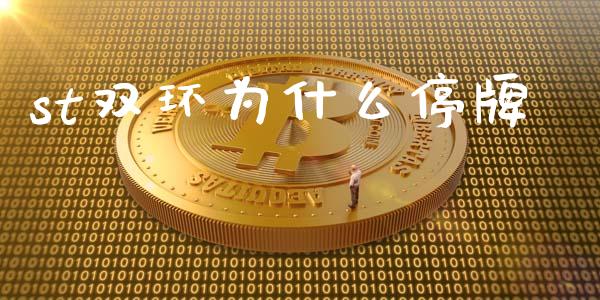 st双环为什么停牌_https://cj007.lansai.wang_债券资讯_第1张