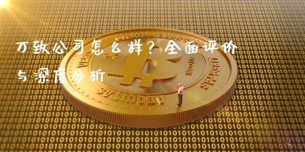 万致公司怎么样？全面评价与深度分析_https://cj007.lansai.wang_全球市场_第1张
