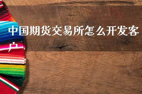 中国期货交易所怎么开发客户_https://cj007.lansai.wang_期货开户_第1张