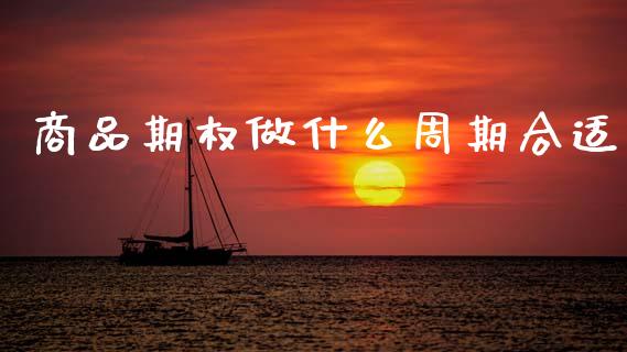 商品期权做什么周期合适_https://cj007.lansai.wang_债券资讯_第1张