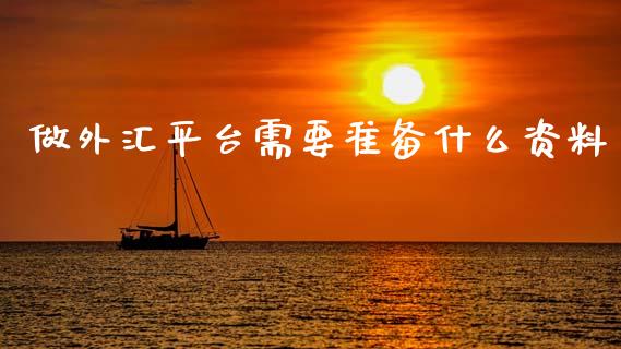 做外汇平台需要准备什么资料_https://cj007.lansai.wang_金融监管_第1张