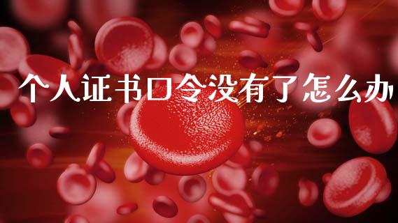 个人证书口令没有了怎么办_https://cj007.lansai.wang_金融监管_第1张