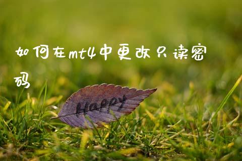 如何在mt4中更改只读密码_https://cj007.lansai.wang_债券资讯_第1张