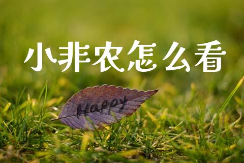 小非农怎么看_https://cj007.lansai.wang_金融监管_第1张