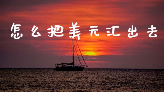 怎么把美元汇出去_https://cj007.lansai.wang_期货开户_第1张