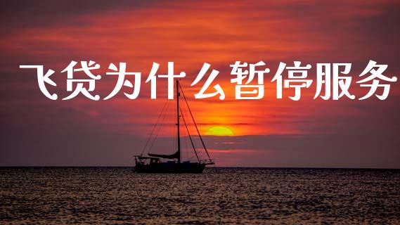 飞贷为什么暂停服务_https://cj007.lansai.wang_外汇交易_第1张