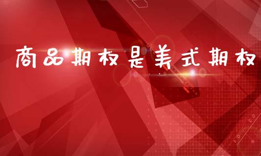 商品期权是美式期权_https://cj007.lansai.wang_财经新闻_第1张