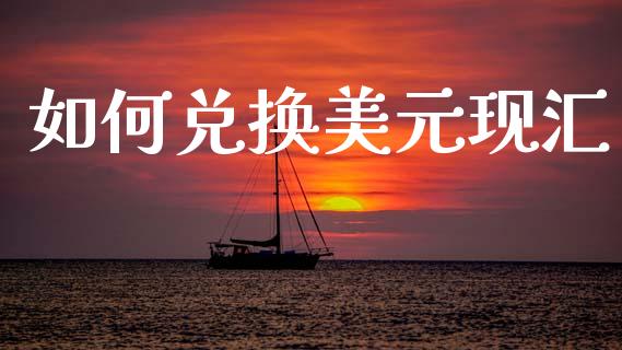 如何兑换美元现汇_https://cj007.lansai.wang_财经新闻_第1张
