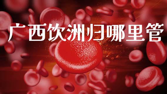广西饮洲归哪里管_https://cj007.lansai.wang_金融监管_第1张